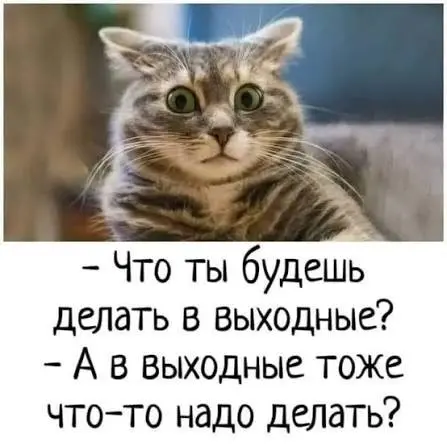 Наконец-то пятница) | Сетка — социальная сеть от hh.ru