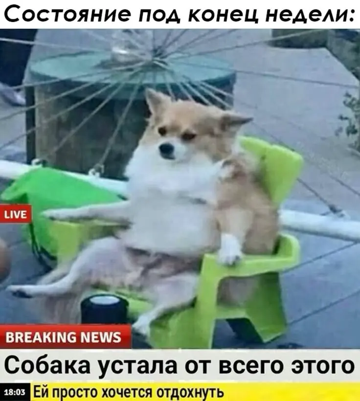 коллеги, а возможно ли где-то еще найти работу, кроме хх? авито помойка... | Сетка — социальная сеть от hh.ru