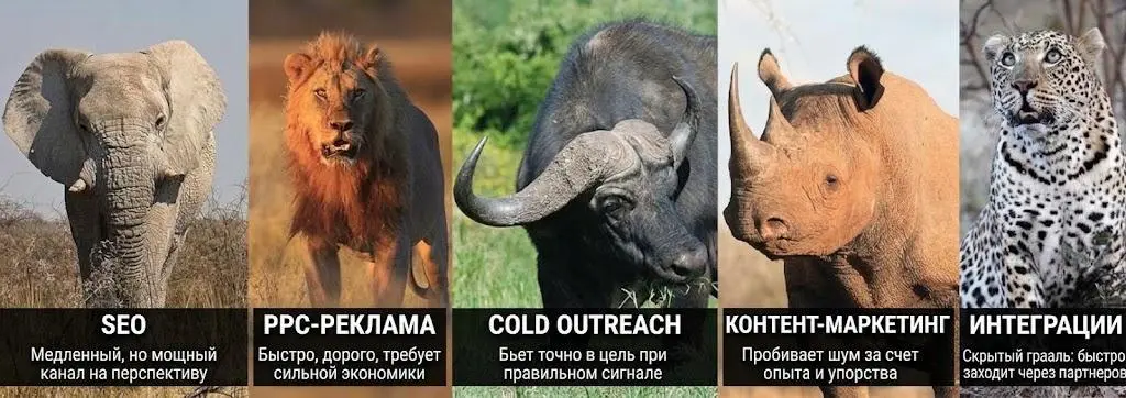 Большая 5 маркетинга для SaaS проектов.
🐘 SEO - Слон. Настоящий гигант, который медленно, но уверенно идет вперед. Набирает мощь постепенно, но когда разгонится - не остановить | Сетка — социальная сеть от hh.ru