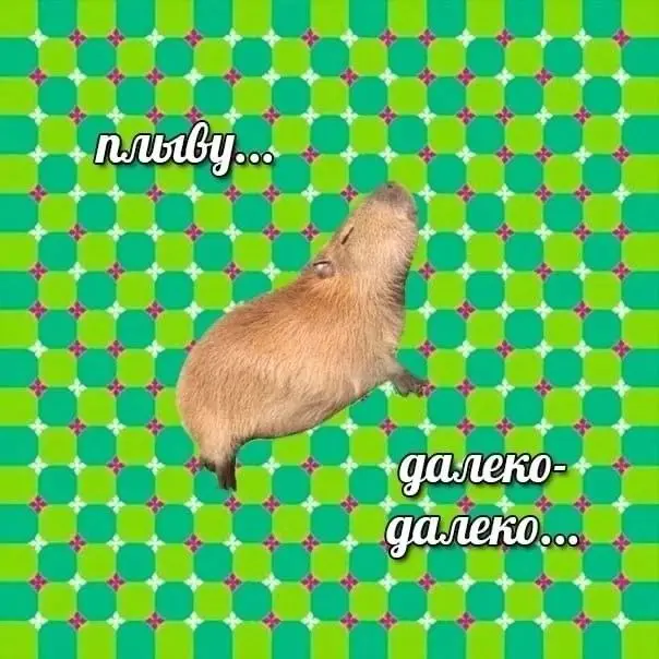 Если картинка движется - пора отдыхать!
Хороших выходных💊
Скидывайте мемы ⬇️
#чащесмейся | Сетка — социальная сеть от hh.ru