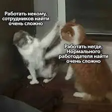 Теплый пятничный юмор среди пустого холодного поиска ваканс | Сетка — социальная сеть от hh.ru