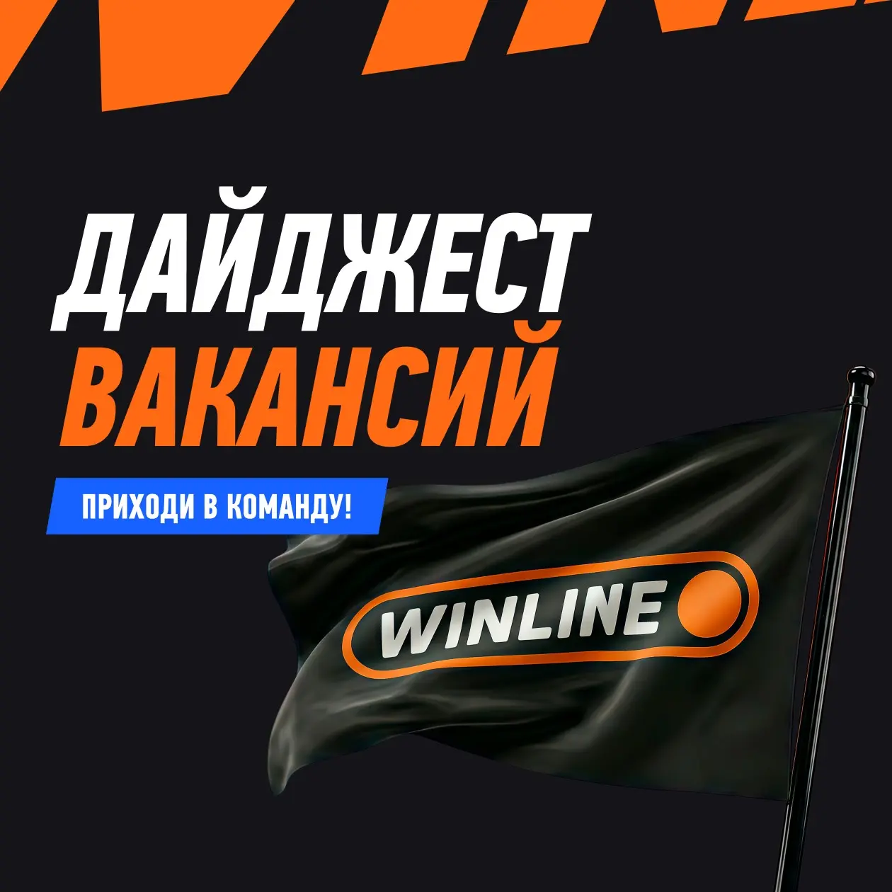Привет сетка! Заглядывай в актуальные вакансии | Сетка — социальная сеть от hh.ru