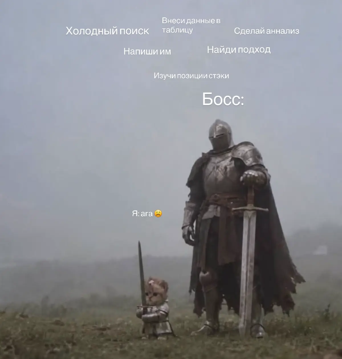 То чувство когда ты зеленый среди профи, но коллеги в тебя верят😁 | Сетка — социальная сеть от hh.ru