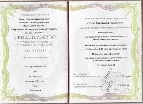Елизавета Розова