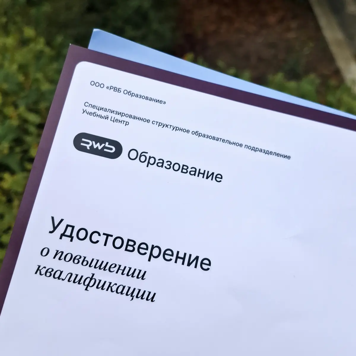 Пересобираем рабочие процессы | Сетка — социальная сеть от hh.ru