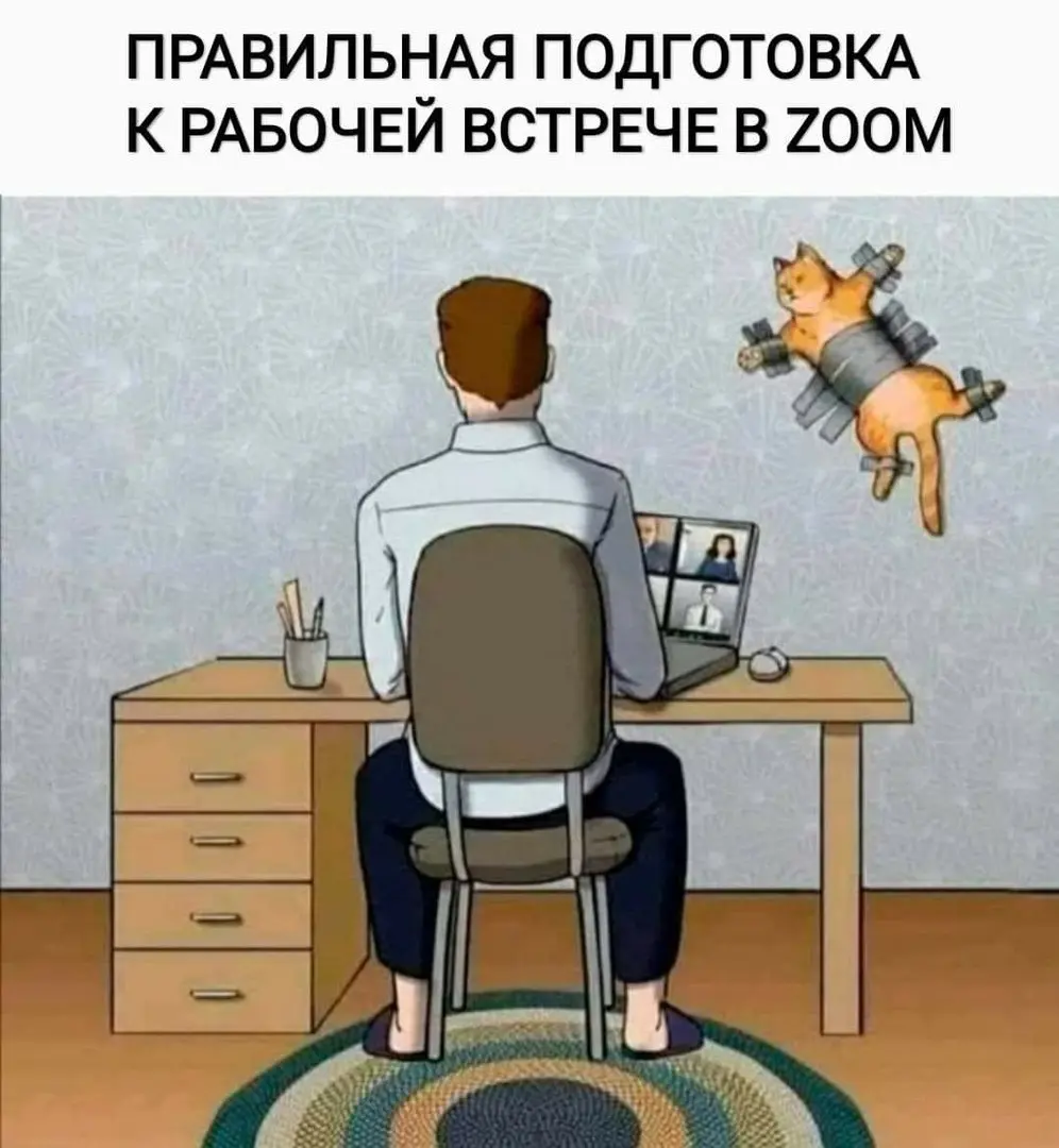 Фон на созвоне — домашняя версия дресс-кода
Перед созвоном человек поправляет рубашку, закрывает дверь в спальню и выбирает, кем сегодня будет книжный шкаф: частью интерьера или свидетелем, которого л... | Сетка — социальная сеть от hh.ru