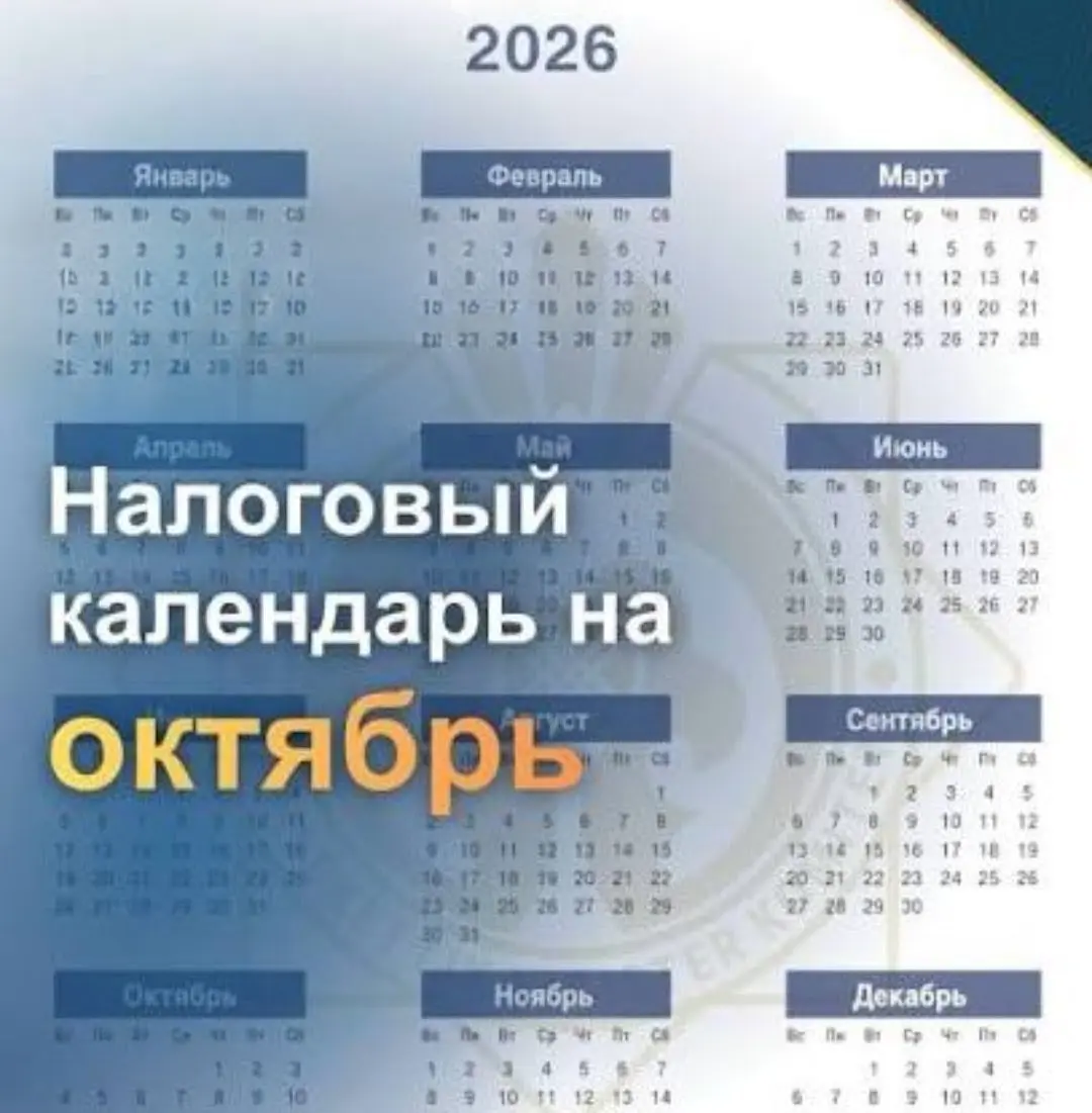 ‼️ Октябрь 2026 г. — месяц для сдачи отчётности за 3 квартал ( 9 месяцев) | Сетка — социальная сеть от hh.ru