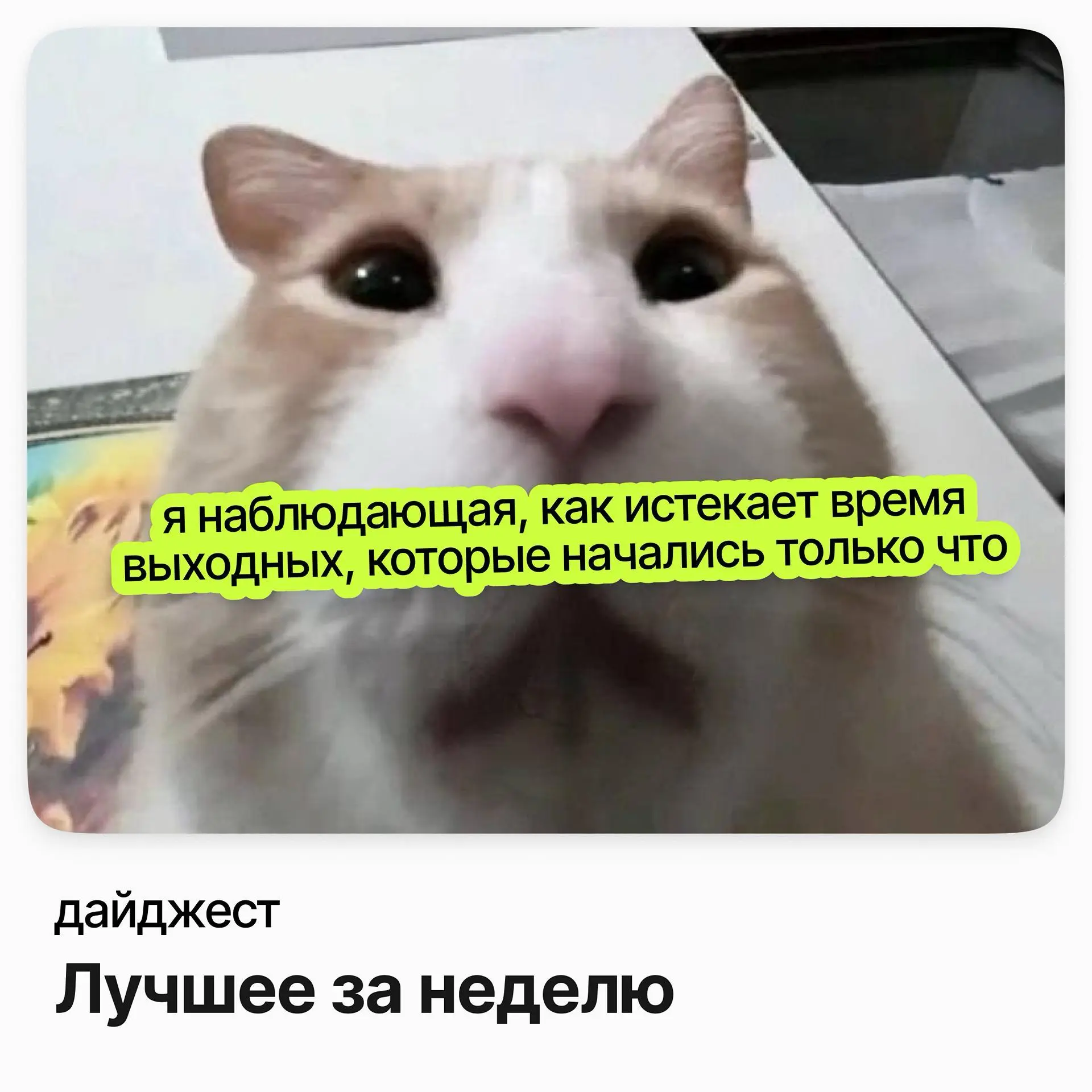💼💼💼Лучшее за неделю
Категорийный менеджер / Dr.Head
Зарплата: от 198 000 ₽ /на руки
Подробнее
Финансовый аналитик, BI-аналитик / BI | Сетка — социальная сеть от hh.ru