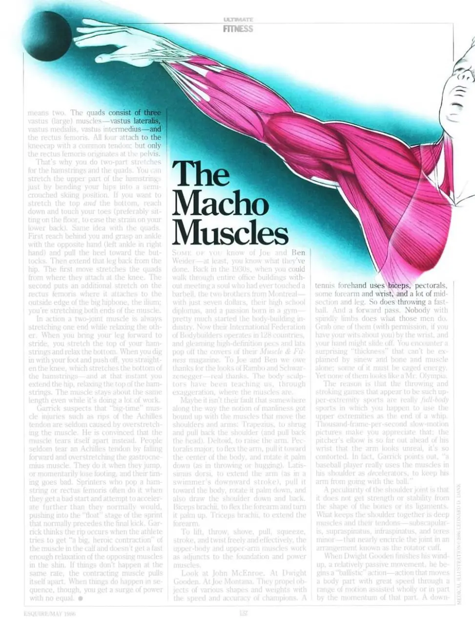 Про генерализацию
В журнале Esquire за 1986 год нашёл хороший пример генерализации: отбора деталей с сохранением существенных связей.
Это из статьи про анатомию фитнеса | Сетка — социальная сеть от hh.ru