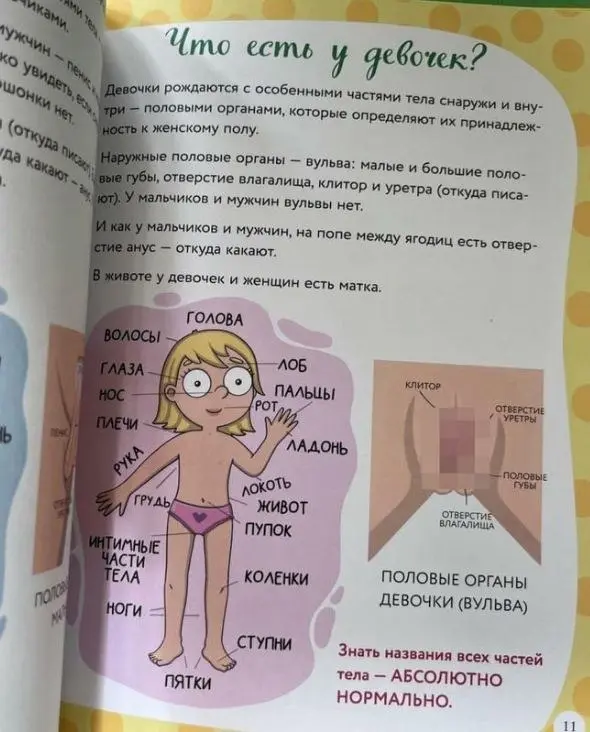 Больше 25 миллионов рублей потратили на половое воспитание детей 3+ в регионах
Калужская область уже потратила на пособия порядка 1,3 млн, на остальные 24 млн закупились: Сахалинская область, Удмуртск... | Сетка — социальная сеть от hh.ru