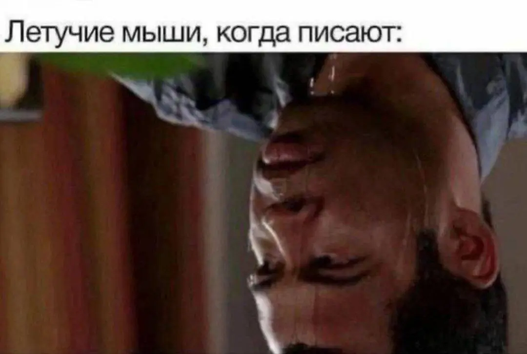 Все так | Сетка — социальная сеть от hh.ru