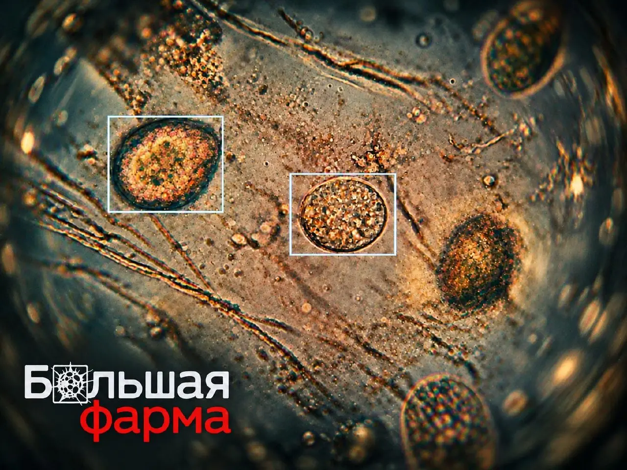 🎬 Фильм недели — сериал «Большая фарма»
Пройти мимо сериала с таким названием в канале было бы странно.
Сама история стара как мир: слабости, страсти, амбиции и гонка за деньгами | Сетка — социальная сеть от hh.ru
