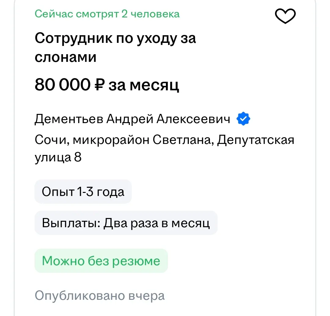 Вакансия мечты. | Сетка — социальная сеть от hh.ru