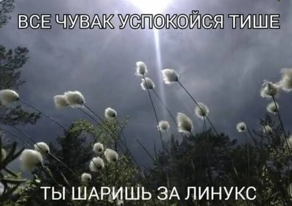 📢 пакет по итэ 🛍 Другие каналы
В этом посте были ссылки, но мы их удалили по правилам Сетки | Сетка — социальная сеть от hh.ru