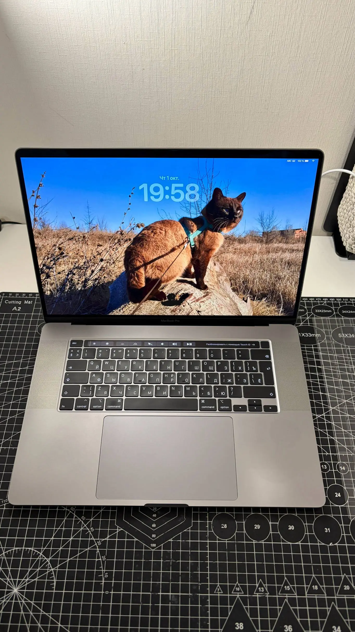 #Продаю #MacBook 16 PRO 16гб, 512 гб, i7, 2019 + Touch Bar
Ни одного битого пикселя, ни одной засветки экрана | Сетка — социальная сеть от hh.ru