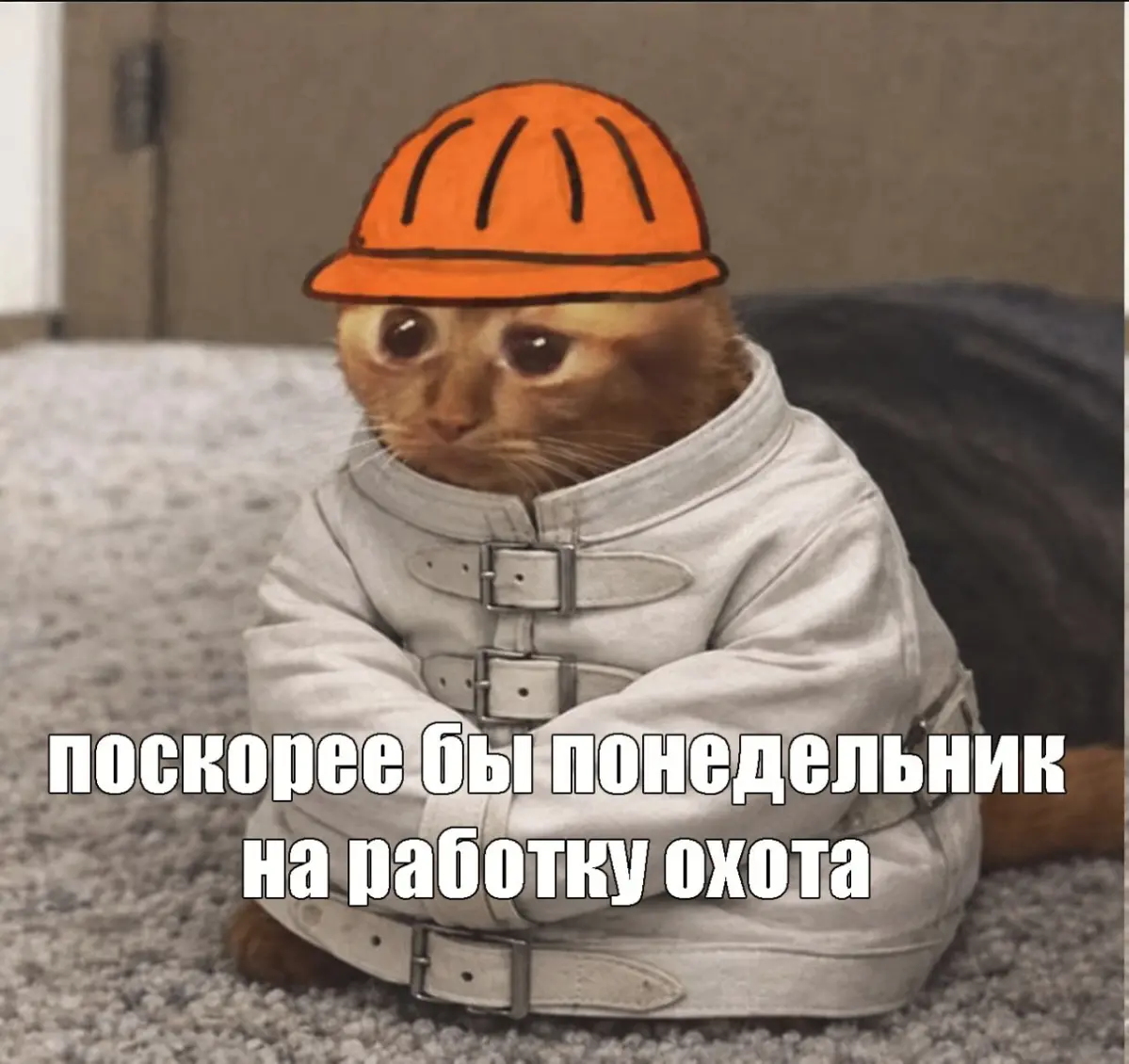 Я использую свою Сетку как мем паблик | Сетка — социальная сеть от hh.ru