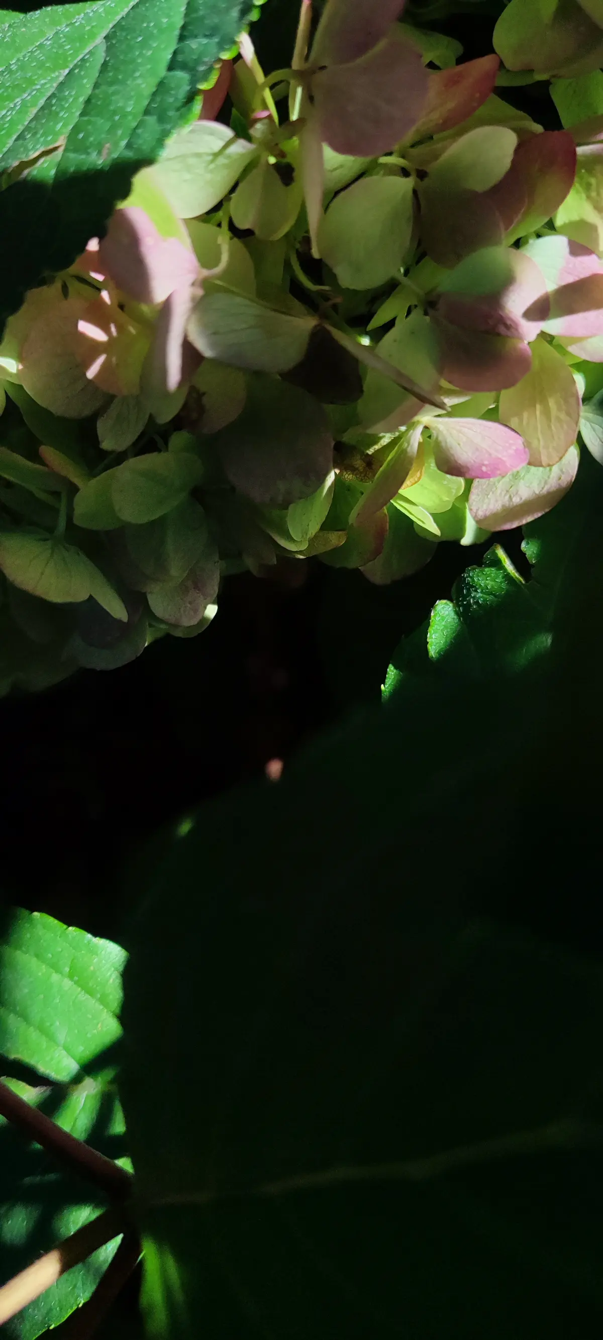 Немного на цветочном🌿 | Сетка — социальная сеть от hh.ru