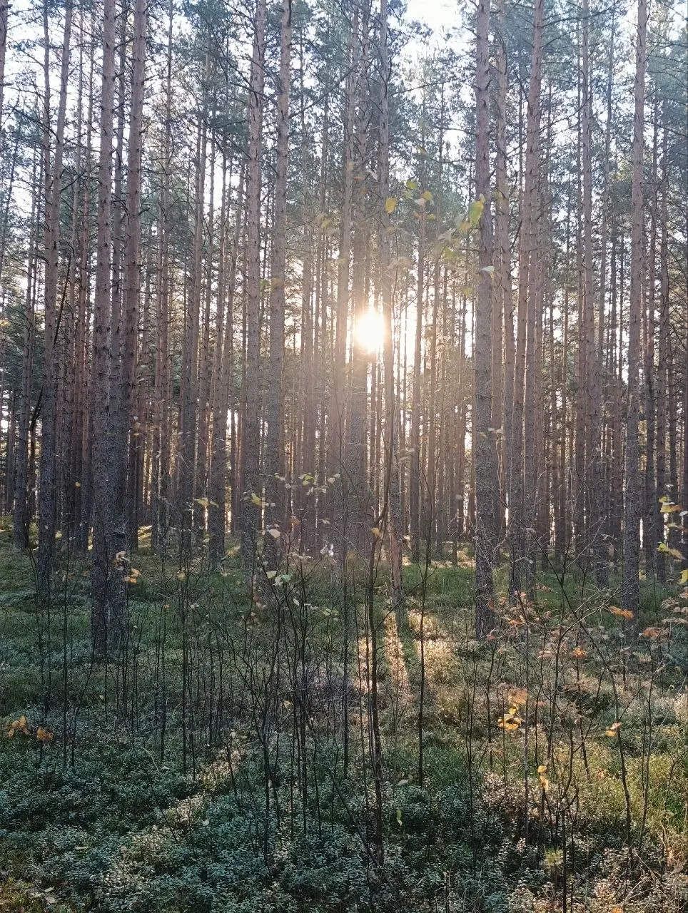 Я сейчас вернулась домой. Меня не было всего четыре ночи. К сожалению, в пятницу мне с работы всё таки звонили. Но я полностью выпала из всех своих учеб.
У меня не было времени и желания тоже не было | Сетка — социальная сеть от hh.ru