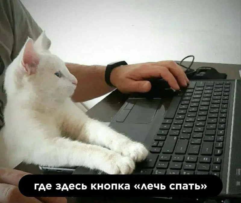 #morning | Сетка — социальная сеть от hh.ru