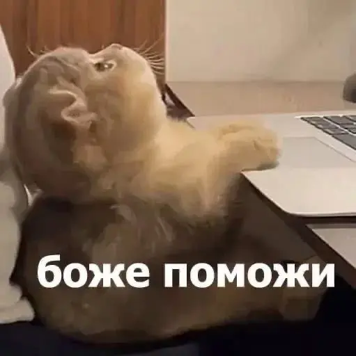 Коллеги, а когда HR успели записать себя в небожители? | Сетка — социальная сеть от hh.ru