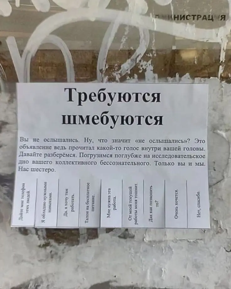 Лучшее объявление, что я видела 😂 | Сетка — социальная сеть от hh.ru