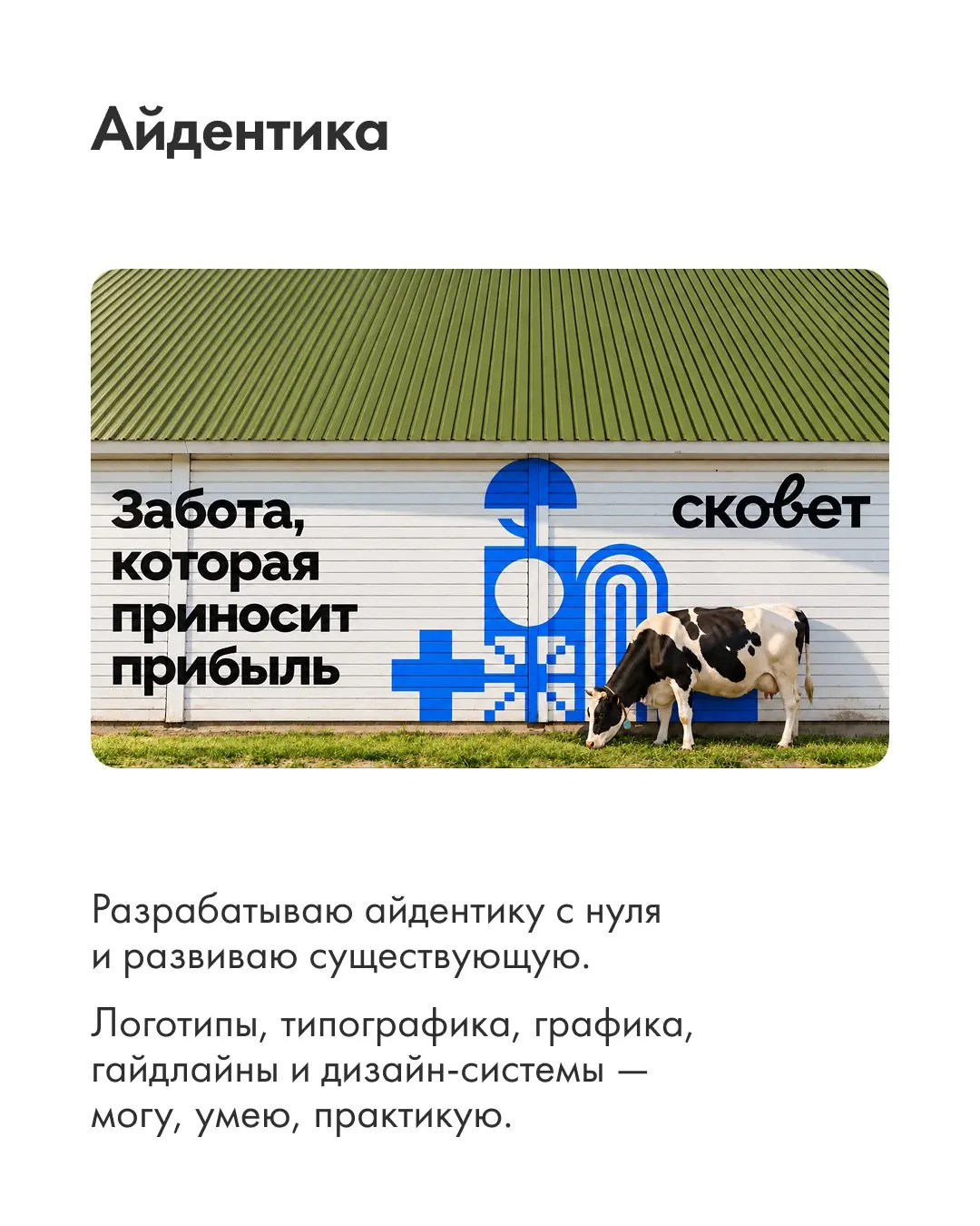 Привет! Я бренд-дизайнер, и я в поиске классных проектов | Сетка — социальная сеть от hh.ru