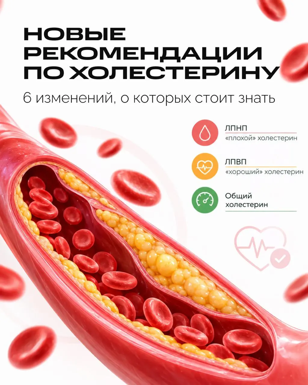 Вы знаете свой уровень Lp(a)? По новым рекомендациям, его стоит измерить хотя бы раз в жизни | Сетка — социальная сеть от hh.ru