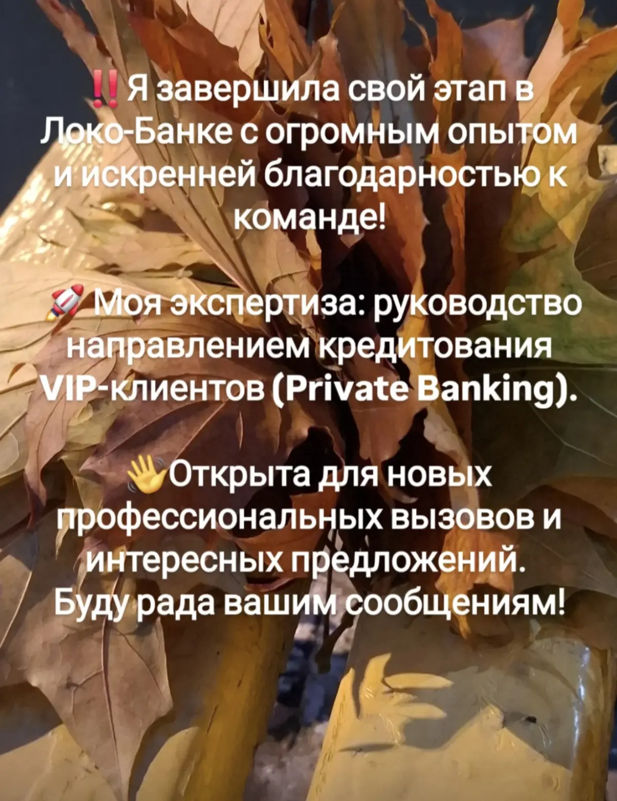 Завершен еще один этап😉 | Сетка — социальная сеть от hh.ru