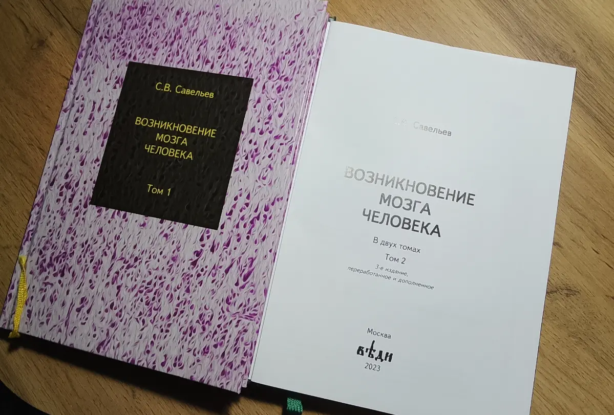 Книги грусти. Как возник мозг Homo sapiens. | Сетка — социальная сеть от hh.ru