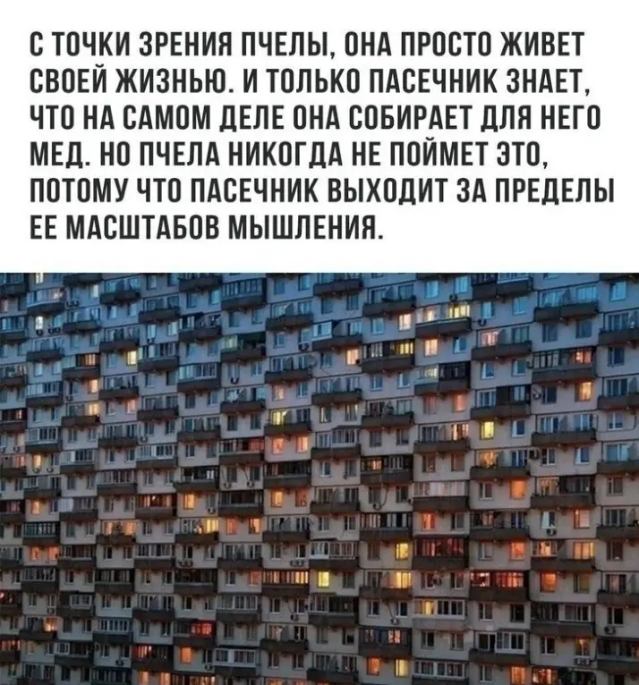 Пчела, цветок и пасечник. Почему ИС ломаются на стыках? | Сетка — социальная сеть от hh.ru
