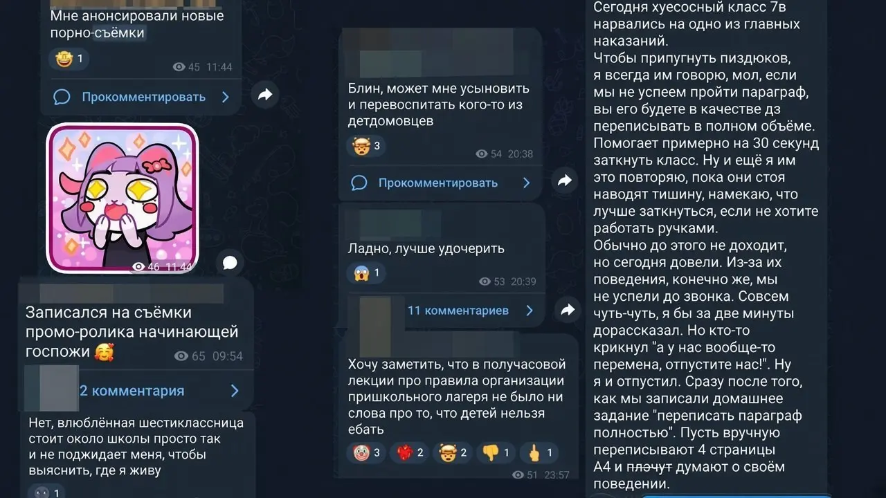 21-летнего озабоченного учителя географии задержали во Владивостоке за домогательства к детям, пропаганду фембойства и нацизма | Сетка — социальная сеть от hh.ru