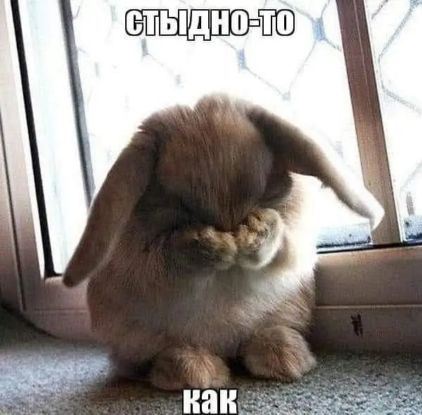 Кринж-собеседование! | Сетка — социальная сеть от hh.ru