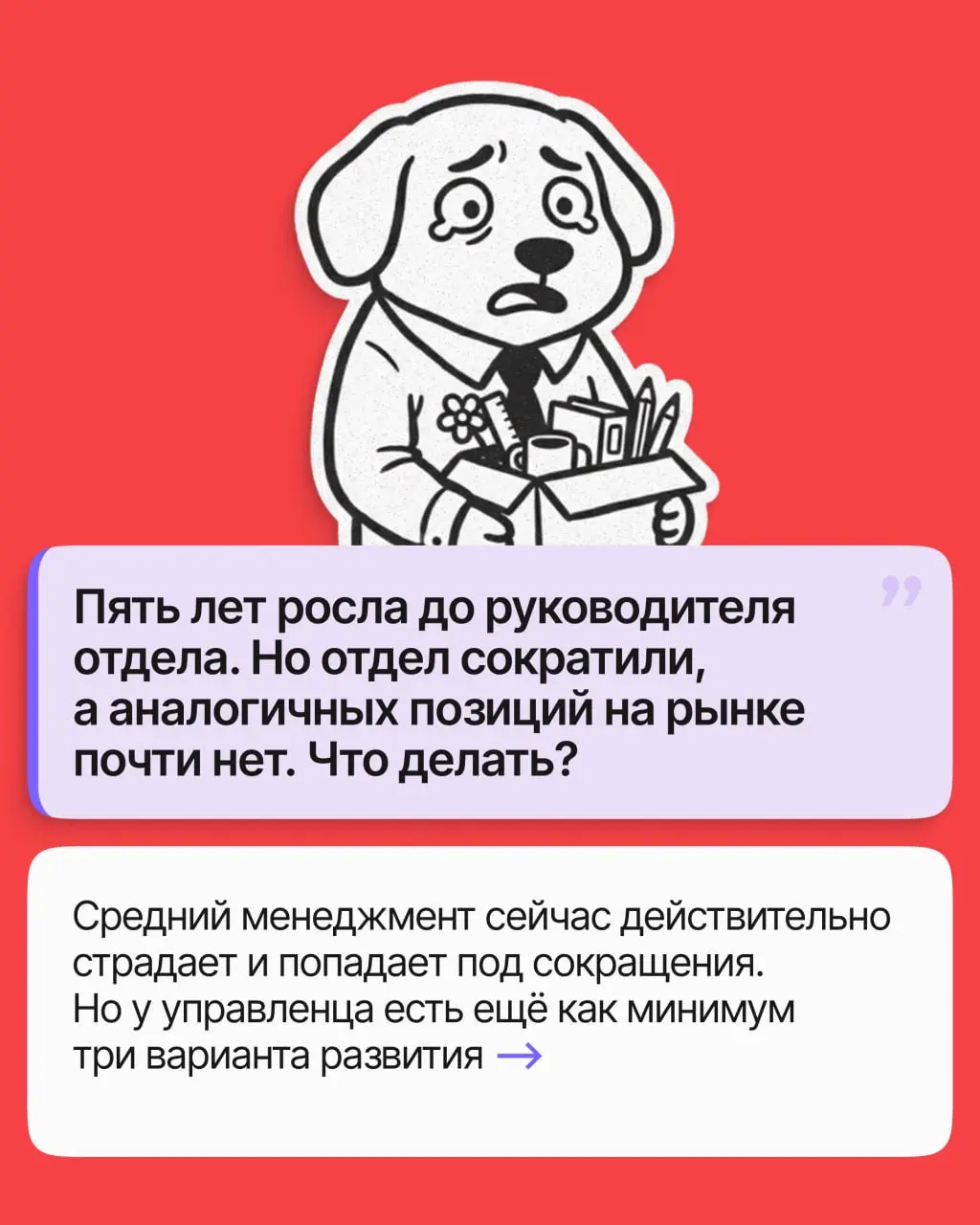 Высшему и среднему менеджменту сегодня несладко: сокращения идут и идут, и руководителей на рынке заметно больше, чем руководящих мест.
Но это не тупик | Сетка — социальная сеть от hh.ru