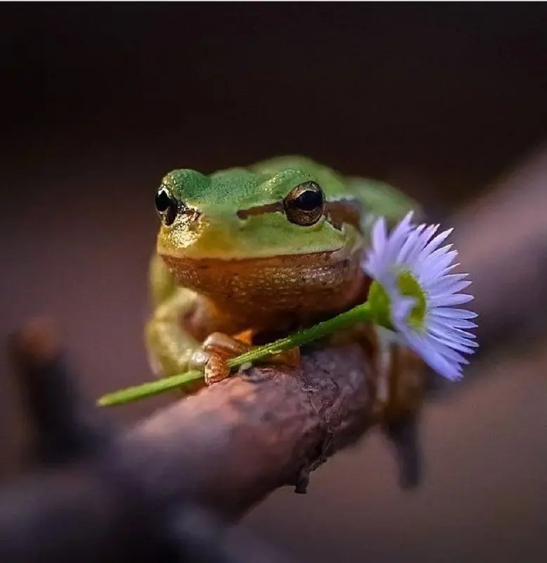 Записала подкаст про жабу 🐸 которая живет в каждом из нас 😅
Вечером опубликую | Сетка — социальная сеть от hh.ru