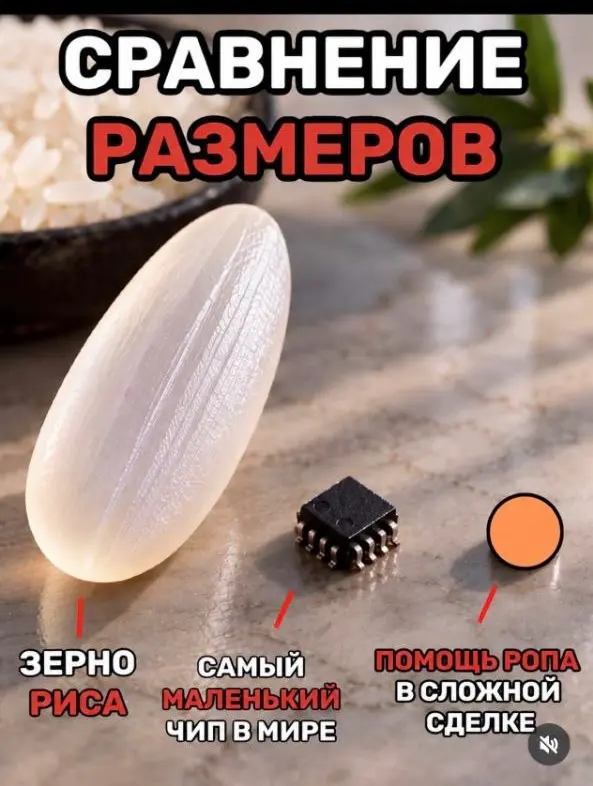 Есть такое ? | Сетка — социальная сеть от hh.ru