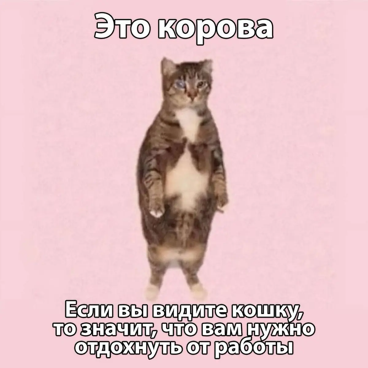 Что с вами будет, когда вы выйдете из корпоративной войны? | Сетка — социальная сеть от hh.ru