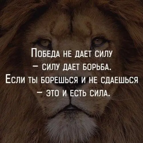 Владимир Иванов
