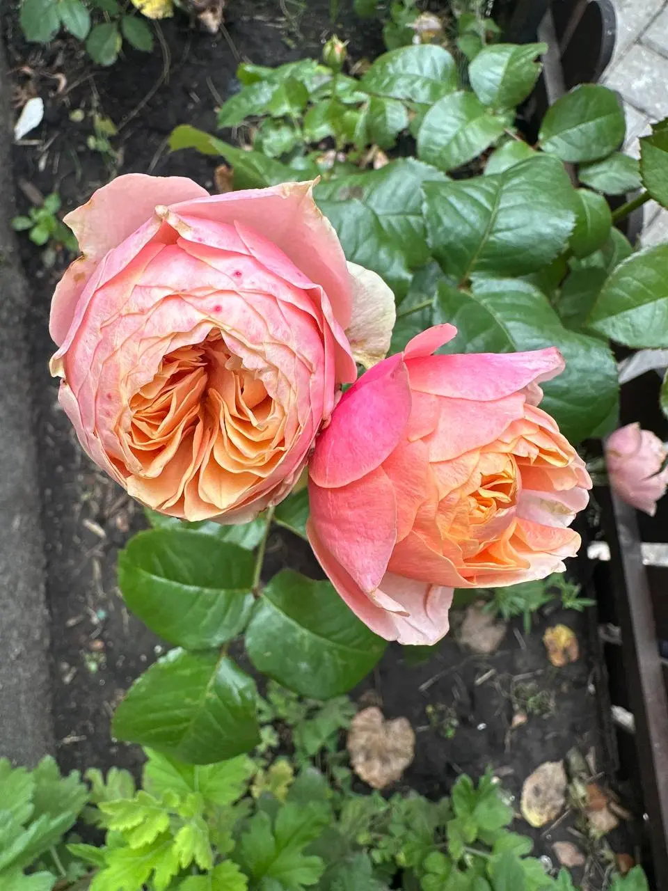 ☀️Утро. Живём.
Сегодня — один момент тишины. Не потому что надо медитировать. А просто потому что тишина иногда говорит больше, чем шум.
🌱 | Сетка — социальная сеть от hh.ru