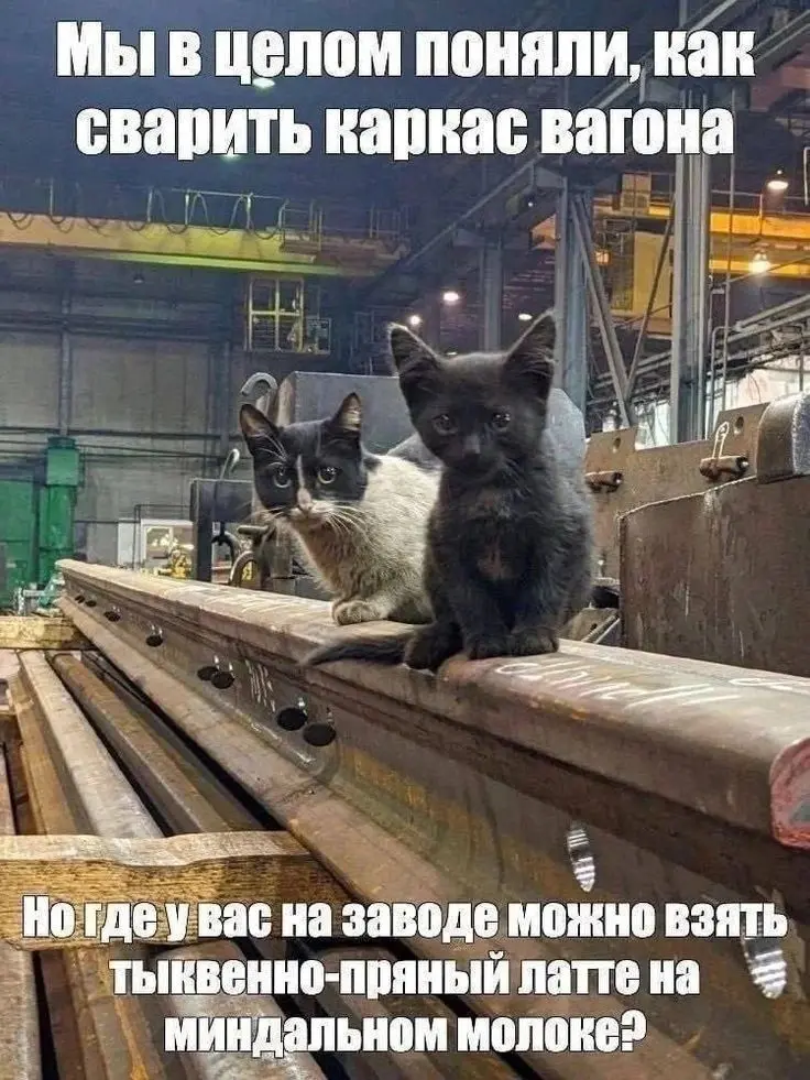 Привлечение молодых специалистов | Сетка — социальная сеть от hh.ru