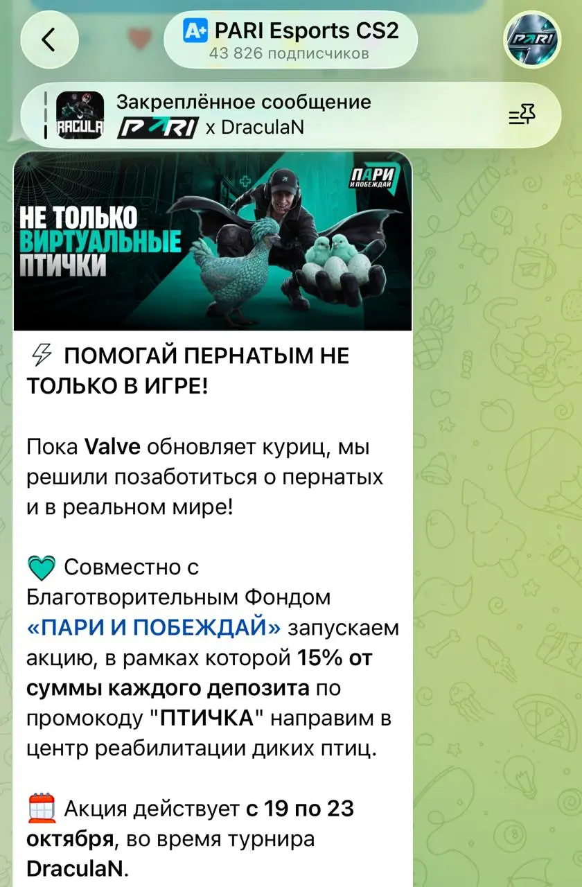 🙏 PARI поддерживает диких птиц! | Сетка — социальная сеть от hh.ru