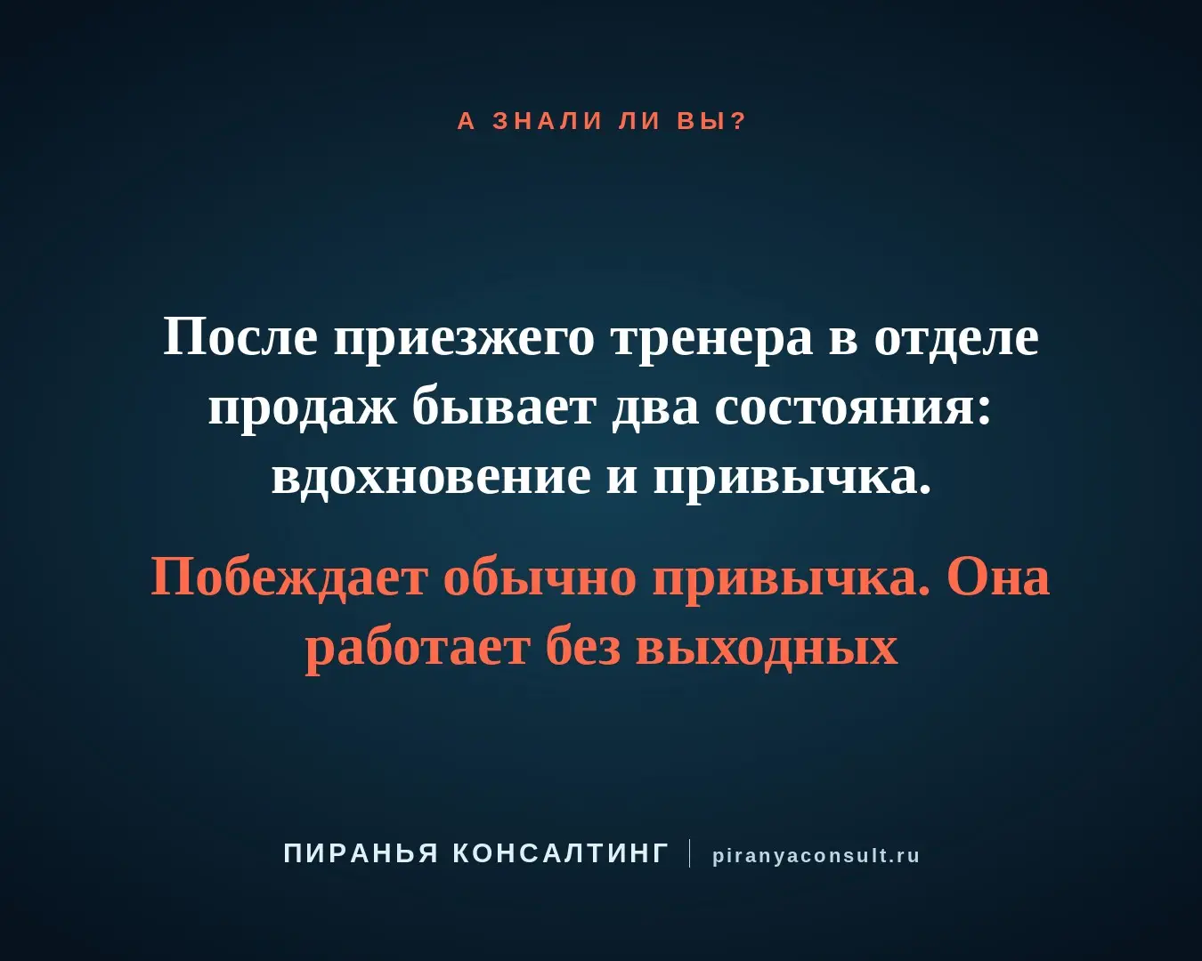 https://www.piranyaconsult.ru/ | Сетка — социальная сеть от hh.ru