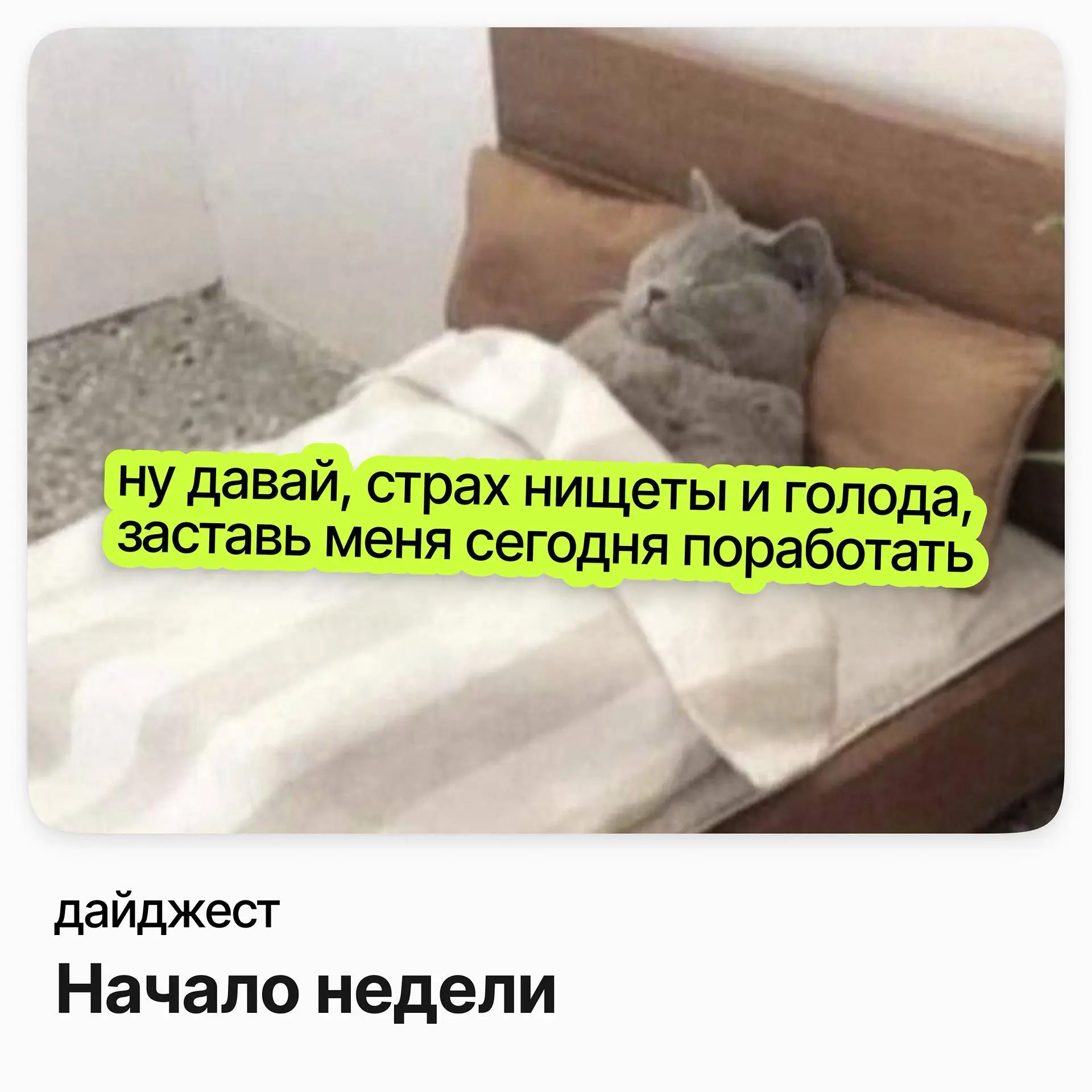 💼💼💼Вакансии на начало недели
Руководитель проектов ИТ (в сфере ЧЗ, ЕГАИС) / LUDING GROUP
Зарплата: от 286 000 ₽ /на руки
Подробнее
Руководитель отдела ИТ-инфраструктуры и технической поддержки / Русат... | Сетка — социальная сеть от hh.ru