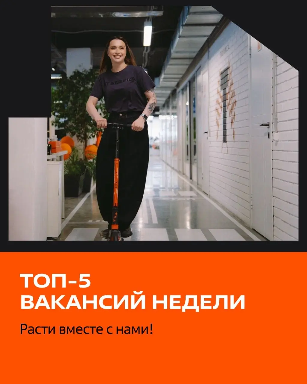 FIT SERVICE растёт, и мы ищем тех, кто будет расти вместе с нами.
Представляем вам ТОП-5 вакансий этой недели | Сетка — социальная сеть от hh.ru