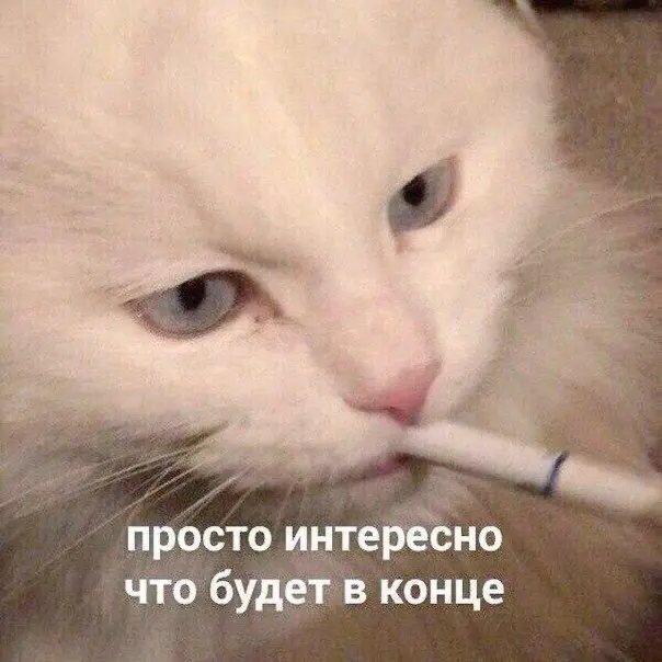 Вам было страшновато после того, как вы провели обучение? | Сетка — социальная сеть от hh.ru