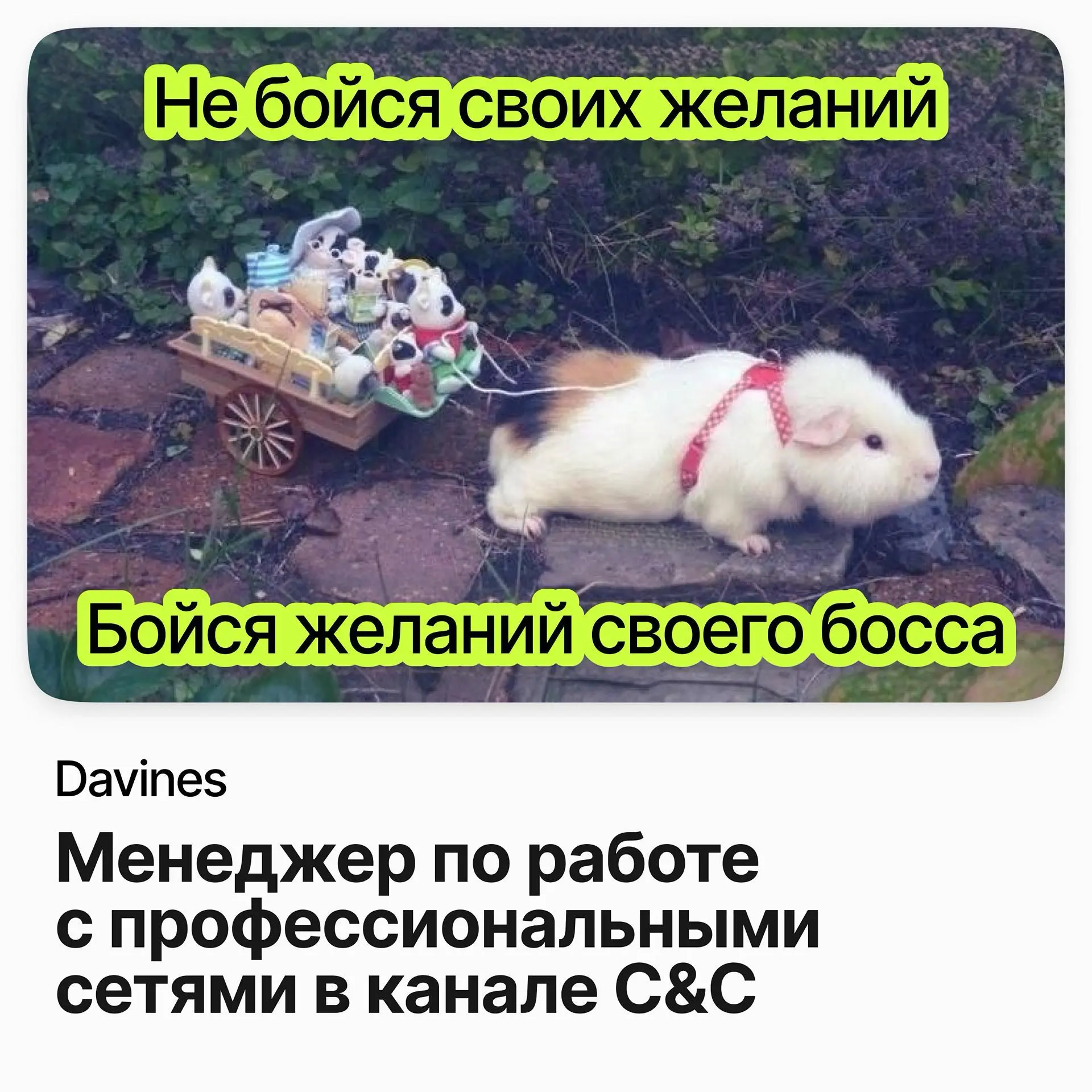 📡 Менеджер по работе с профессиональными сетями в канале C&C / Davines
Davines — итальянский бренд профессиональной косметики для волос, основан в 1983 году в Парме | Сетка — социальная сеть от hh.ru