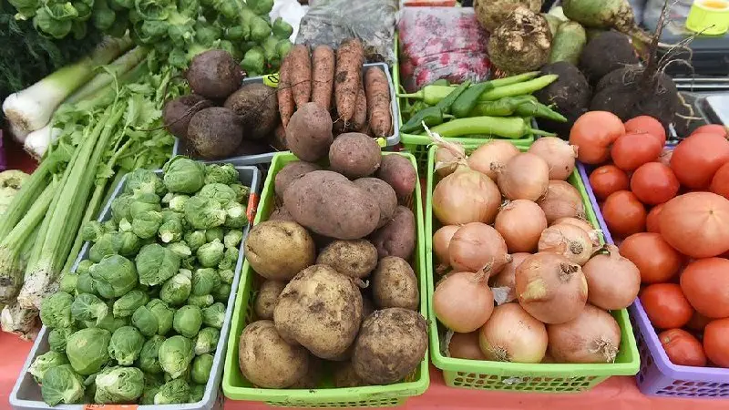 🥕 Ставрополье вошло в тройку лидеров России по выращиванию овощей
С начала года сбор овощей в стране вырос на 2,8%. Ставропольский край оказался среди регионов с самыми высокими показателями | Сетка — социальная сеть от hh.ru