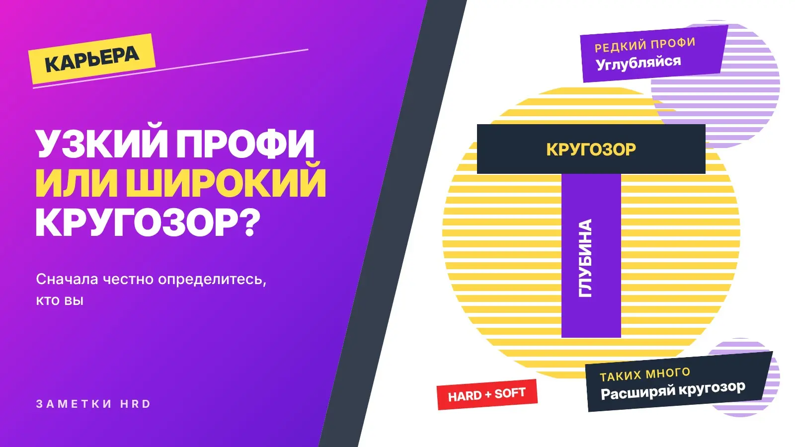 Узкий профи или широкий кругозор? | Сетка — социальная сеть от hh.ru