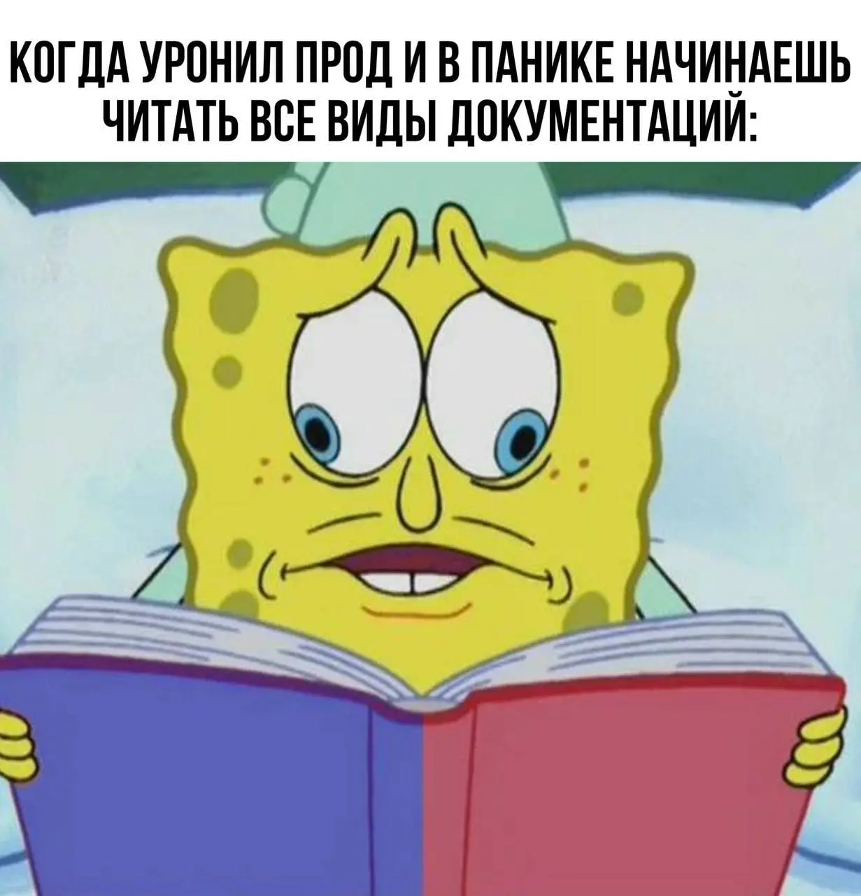 Подпишись, чтобы не чувствовать себя самозванцем ✅ | Сетка — социальная сеть от hh.ru