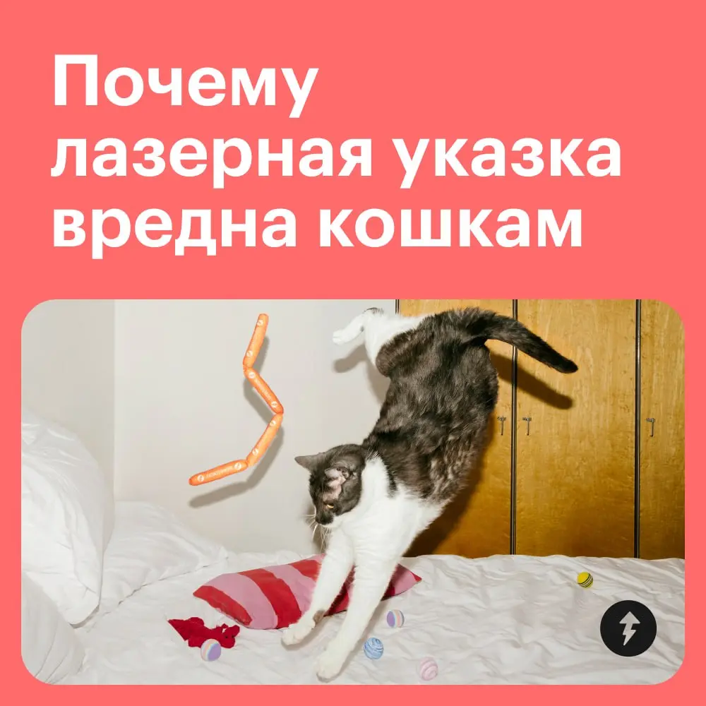 🐱 Запоминаем: лазерными указками с котиками не играем.
Для веселых игр лучше выбрать удочки-дразнилки, мячики или небольшие мягкие игрушки, похожие на грызунов.
#мяу | Сетка — социальная сеть от hh.ru