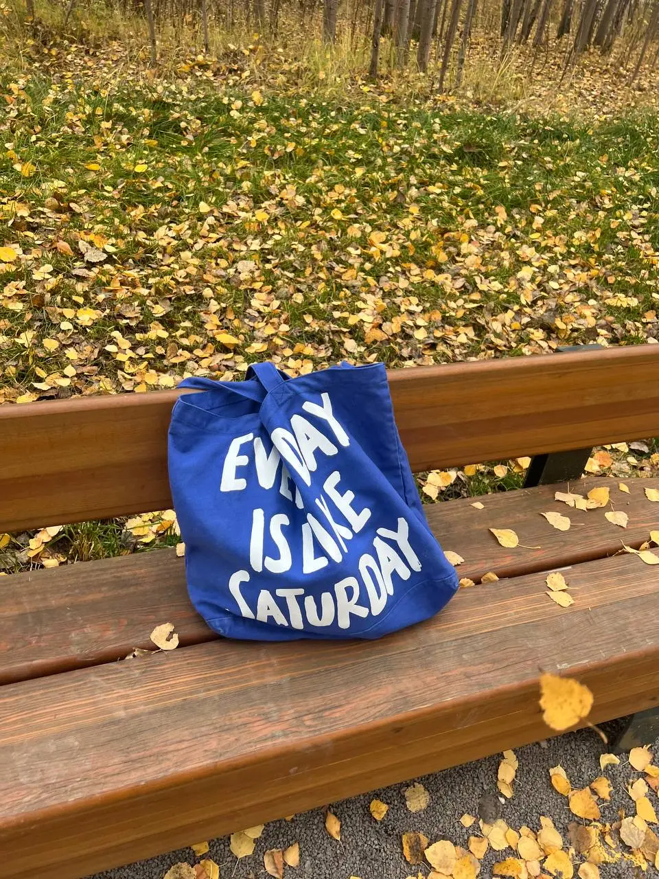 продолжаю ловить осень и исследовать Москву 🍂
выбиралась на прошлых выходных в Кусково, а на этих в Крылатское
оба места заслуживают внимания, но если нигде не были, то однозначно советую Кусково!!!
т... | Сетка — социальная сеть от hh.ru